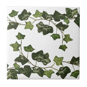 Elegant Botanical Ivy Tile