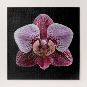 Elegant Botanical Orchid Collection Poster Jigsaw Puzzle