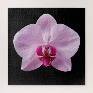 Elegant Botanical Orchid Collection Poster Jigsaw Puzzle