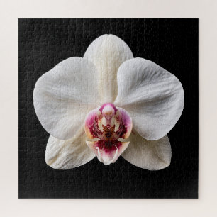 Elegant Botanical Orchid Collection Poster Jigsaw Puzzle