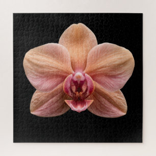 Elegant Botanical Orchid Collection Poster Jigsaw Puzzle