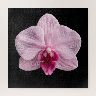 Elegant Botanical Orchid Collection Poster Jigsaw Puzzle