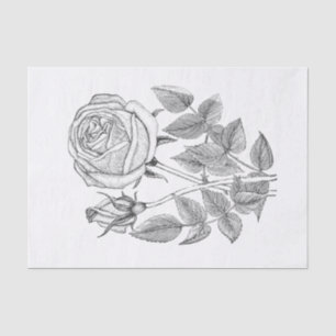 Elegant Botanical Vintage Black White Rose Tissue Paper