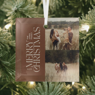 Elegant brown natural foliage modern minimal photo glass tree decoration