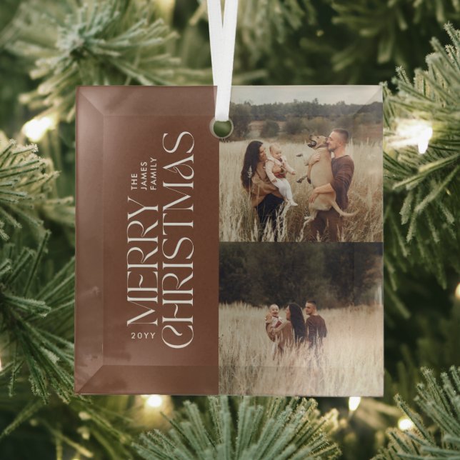 Elegant brown natural foliage modern minimal photo glass tree decoration (Insitu)