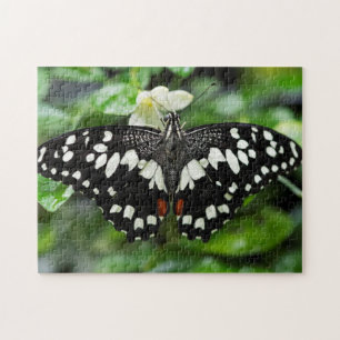 Elegant Butterfly Jigsaw Puzzle