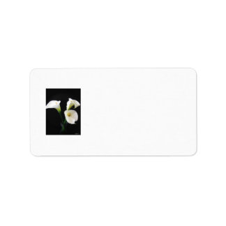 Elegant Calla Lily Flowers 12 Label