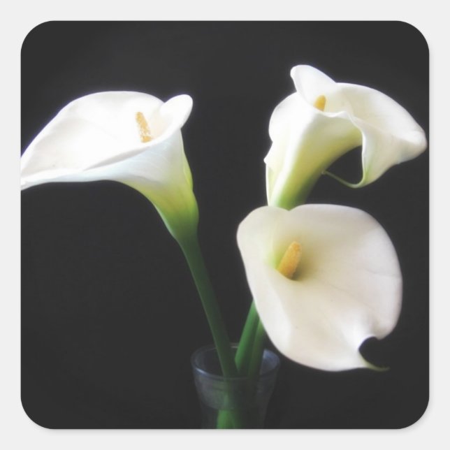 Elegant Calla Lily Flowers 12 Square Sticker (Front)