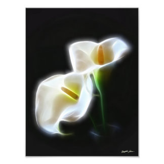 Elegant Calla Lily Flowers 13 Modern Print