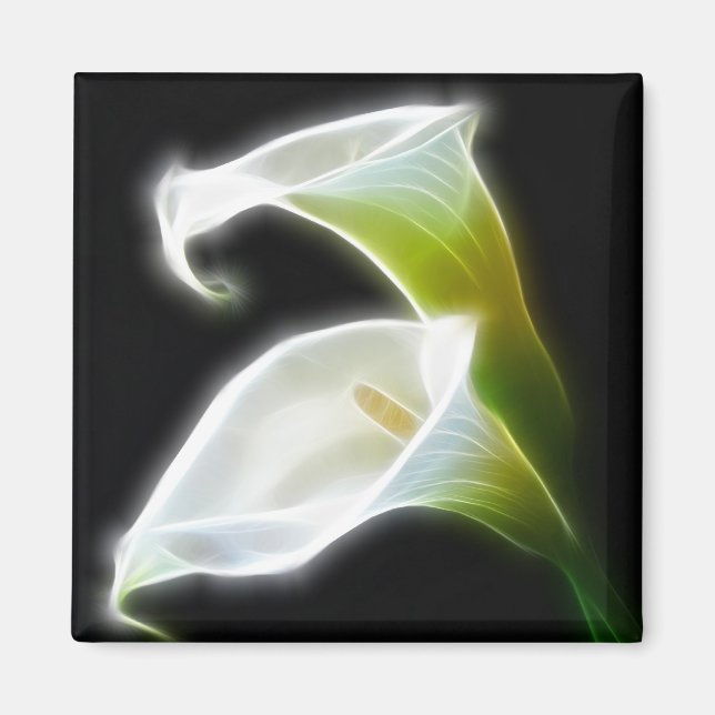 Elegant Calla Lily Flowers 8 Modern Magnet (Front)