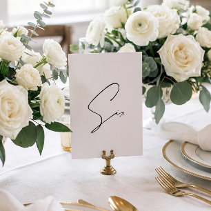Elegant Calligraphic Wedding Table 6 table Number