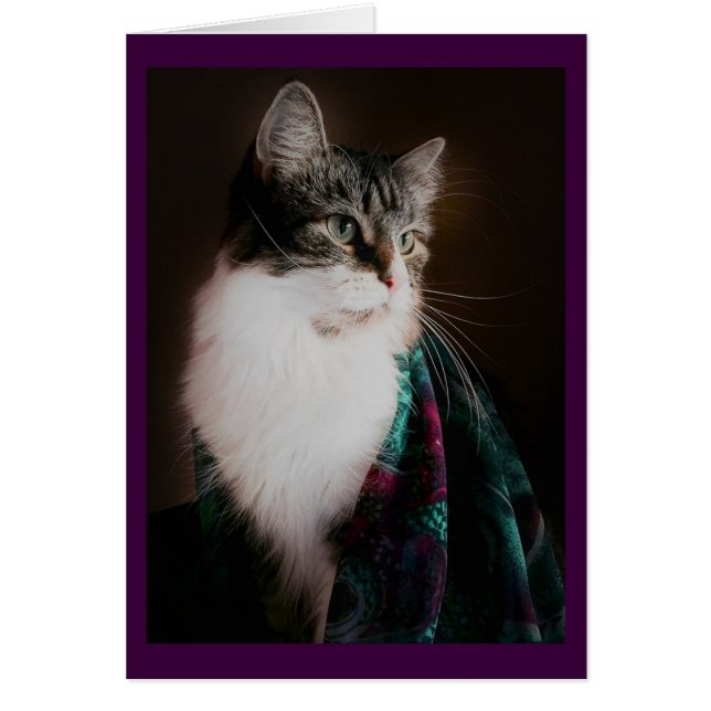 Elegant Cat Blank Cards (Front)