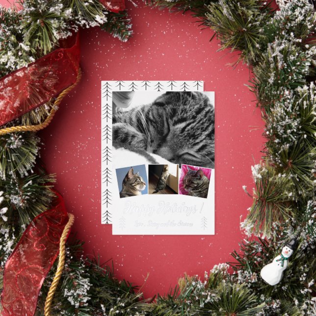Elegant Cat Photo Collage Silver Foil Holiday Card (Insitu)
