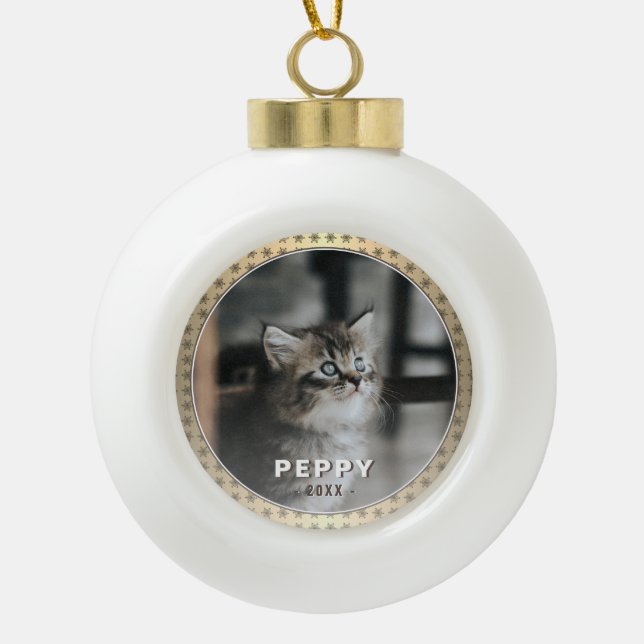 Elegant Cat Photo Golden Metallic Christmas  Ceramic Ball Christmas Ornament (Front)