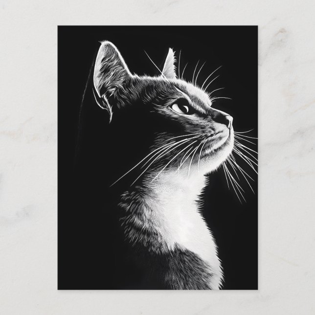 Elegant Cat Postcard (Front)
