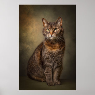 Elegant Cat Studio Portrait Poster