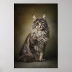 Elegant Cat Studio Portrait Poster