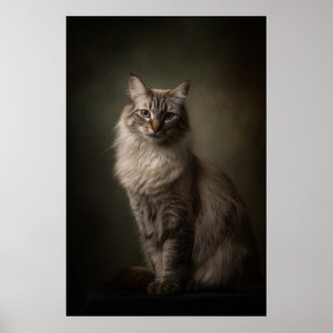 Elegant Cat Studio Portrait Poster