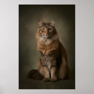 Elegant Cat Studio Portrait Poster