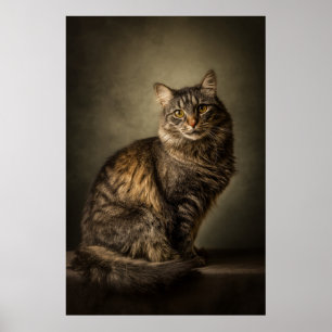Elegant Cat Studio Portrait Poster