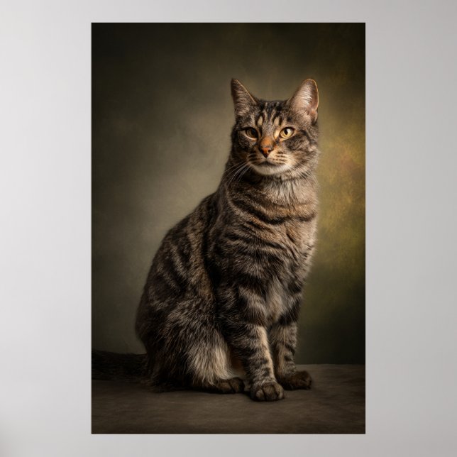 Elegant Cat Studio Portrait Poster (Front)