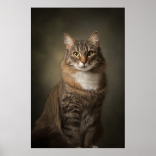 Elegant Cat Studio Portrait Poster