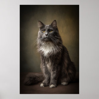 Elegant Cat Studio Portrait Poster