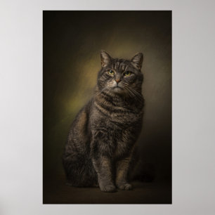 Elegant Cat Studio Portrait Poster