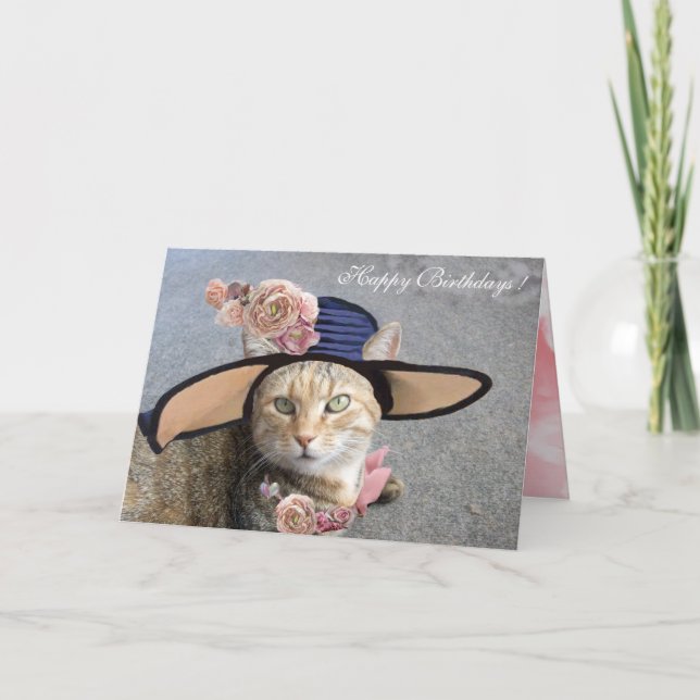 ELEGANT CAT WITH DIVA HAT,PINK ROSES Birthday Card (Front)