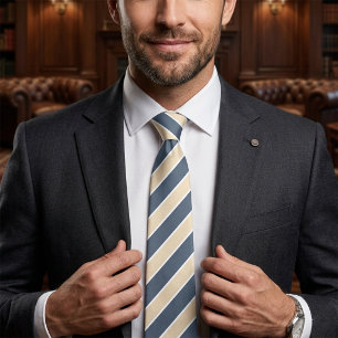 Elegant Champagne Slate Father of the Bride Tie
