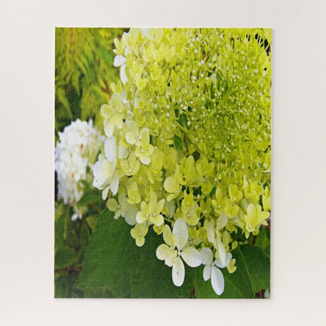 Elegant Chartreuse Green Limelight Hydrangea Jigsaw Puzzle (Vertical)