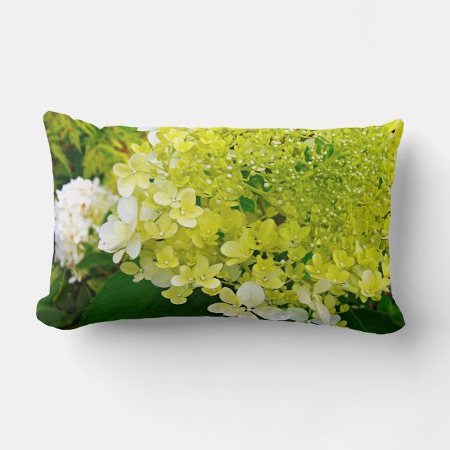 Elegant Chartreuse Green Limelight Hydrangea Lumbar Cushion (Front)