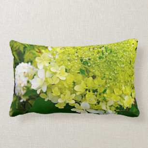 Elegant Chartreuse Green Limelight Hydrangea Lumbar Cushion