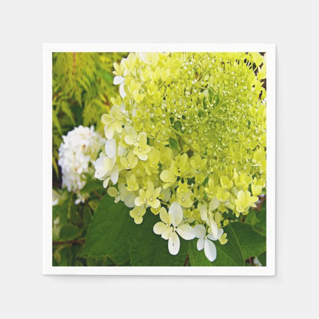 Elegant Chartreuse Green Limelight Hydrangea Napkin (Front)