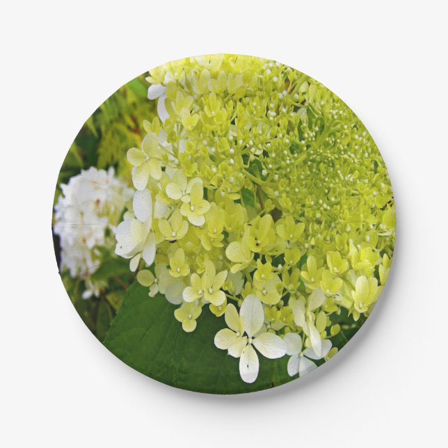 Elegant Chartreuse Green Limelight Hydrangea Paper Plate (Front)