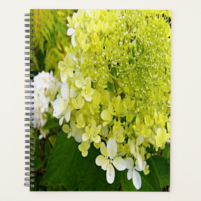 Elegant Chartreuse Green Limelight Hydrangea Planner (Front)