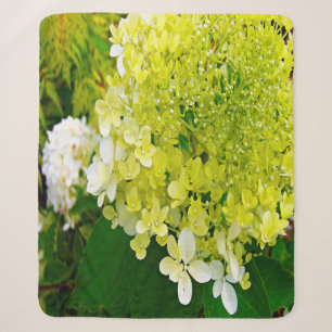 Elegant Chartreuse Green Limelight Hydrangea Sherpa Blanket