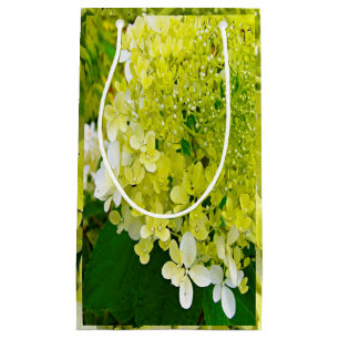 Elegant Chartreuse Green Limelight Hydrangea Small Gift Bag