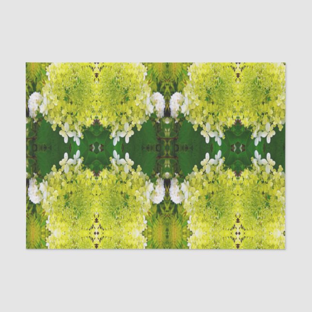 Elegant Chartreuse Green Limelight Hydrangea Tissue Paper (Front)