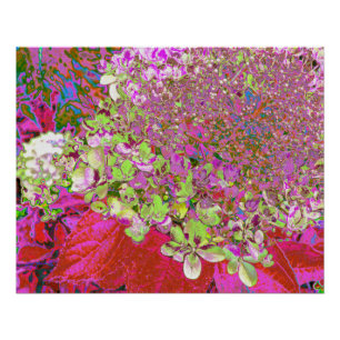 Elegant Chartreuse Green, Pink and Blue Hydrangea Poster