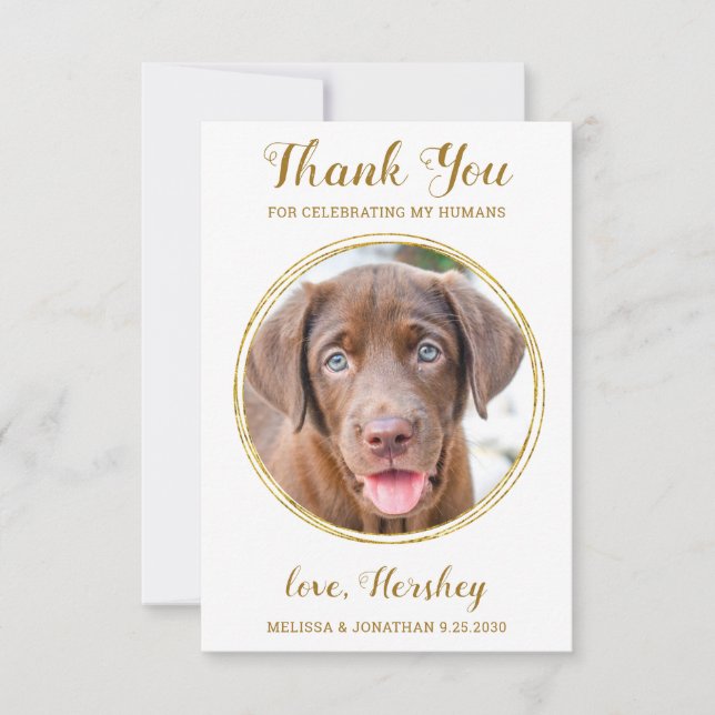 Elegant Chic Gold Custom Dog Photo Pet Wedding  Thank You Card (Front)