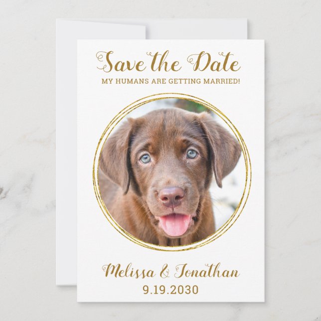Elegant Chic Gold Custom Pet Photo Dog Wedding  Save The Date (Front)
