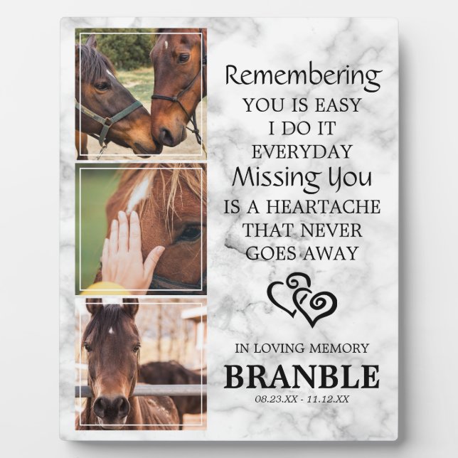 Elegant Chic Horse Memorial Photo Collage Plaque (Front)