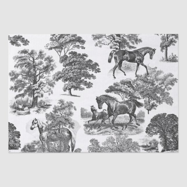 Elegant Chic Rustic Horses Black White Toile  Tissue Paper (Front)