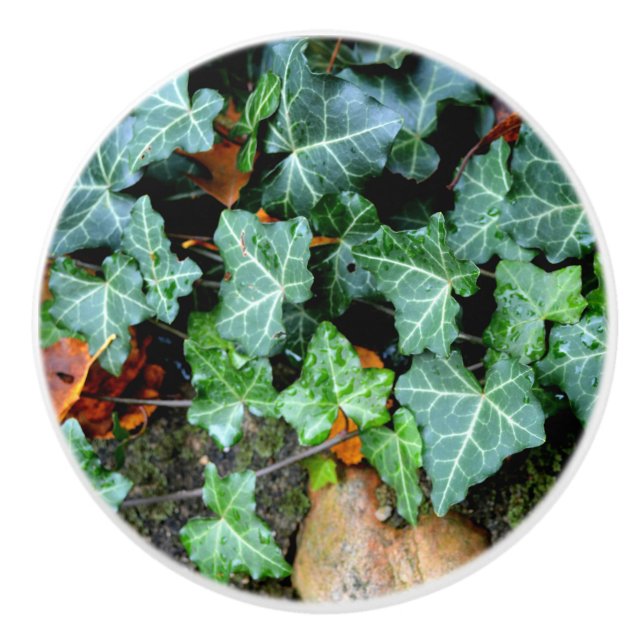 Elegant classic green Ivy and field stone Ceramic Knob (Front)