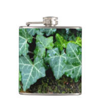 Elegant classic green Ivy and field stone