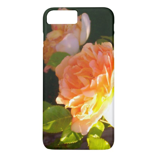 Elegant classic orange peach roses floral Case-Mate iPhone case (Back)