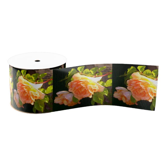 Elegant classic orange peach roses floral grosgrain ribbon (Spool)