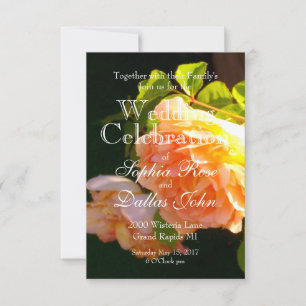 Elegant classic orange peach roses floral invitation