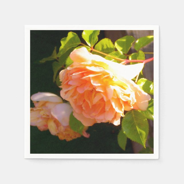Elegant classic orange peach roses floral napkin (Front)